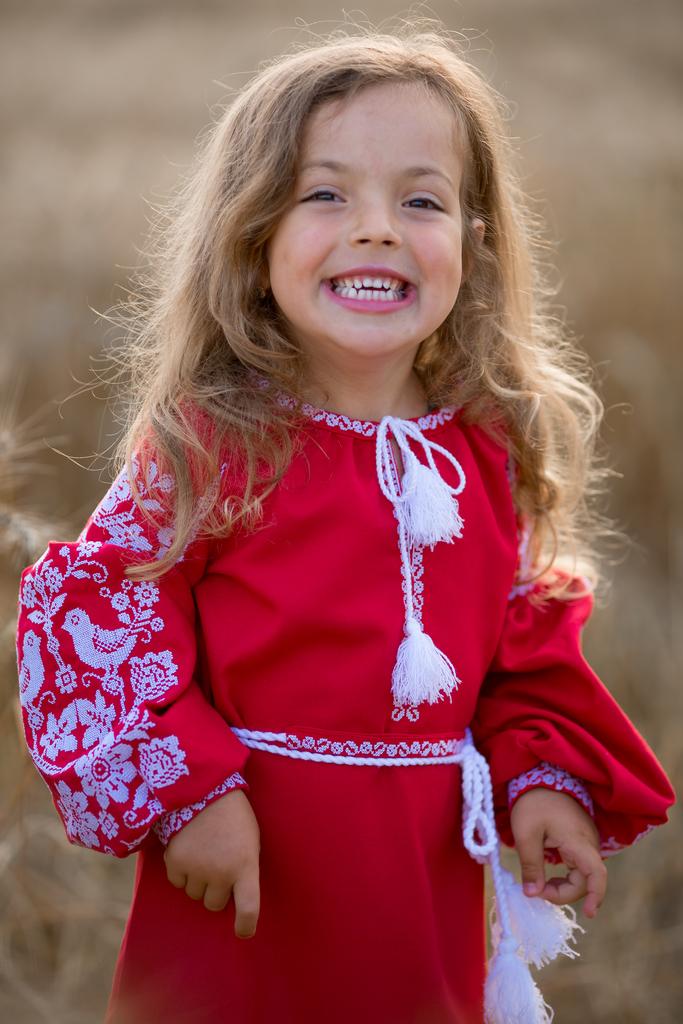 Вишите плаття  для дівчинки "Пташенята червоні" від тм "Калина"   фото 1