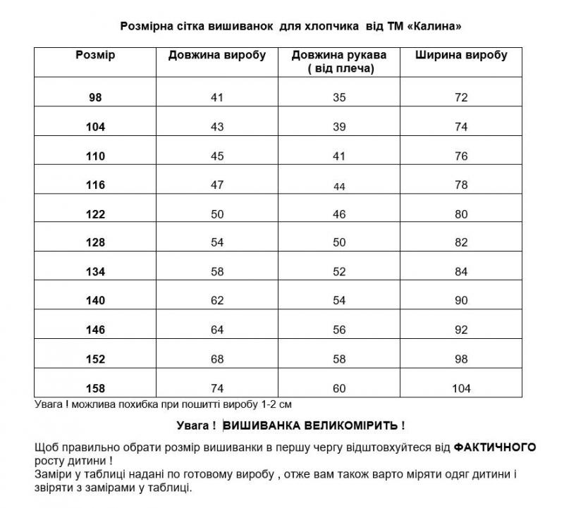 Стильна вишиванк для хлопчика сірого кольору з білою вишивкою від ТМ "КАЛИНА" фото 2
